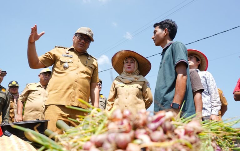 Beringin Shallot Harvest: 'Si Pandai' Steps In to Guarantee Market Access and Fair Prices for Farmers